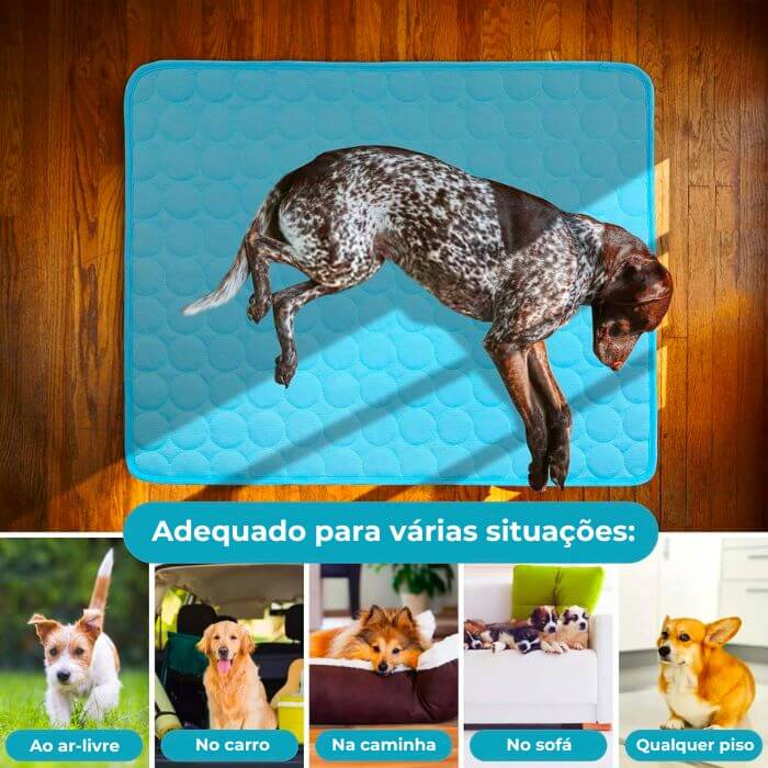 Tapete Gelado Para Pet Pettfy CoolMat