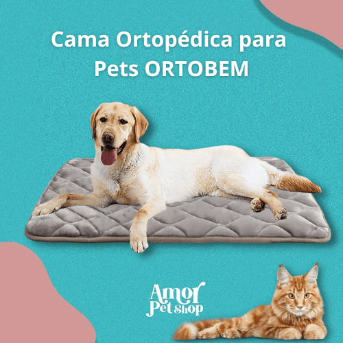 Cama Ortopédica para Cães e Gatos Ortobem - Lavável e Antiderrapante