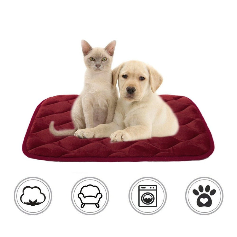 Cama Ortopédica para Cães e Gatos Ortobem - Lavável e Antiderrapante