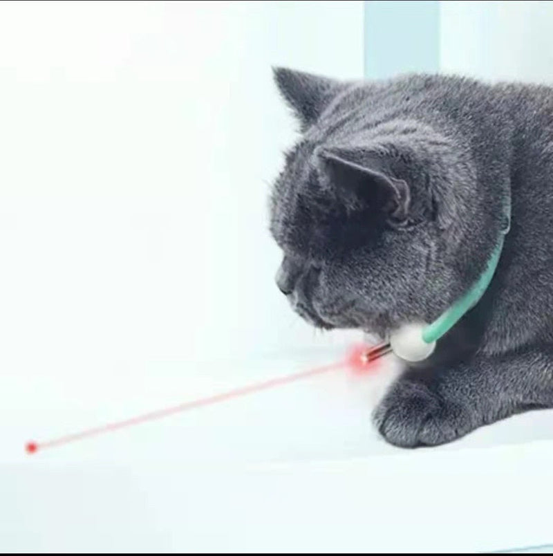 Coleira Inteligente LaserPlay para Gatos