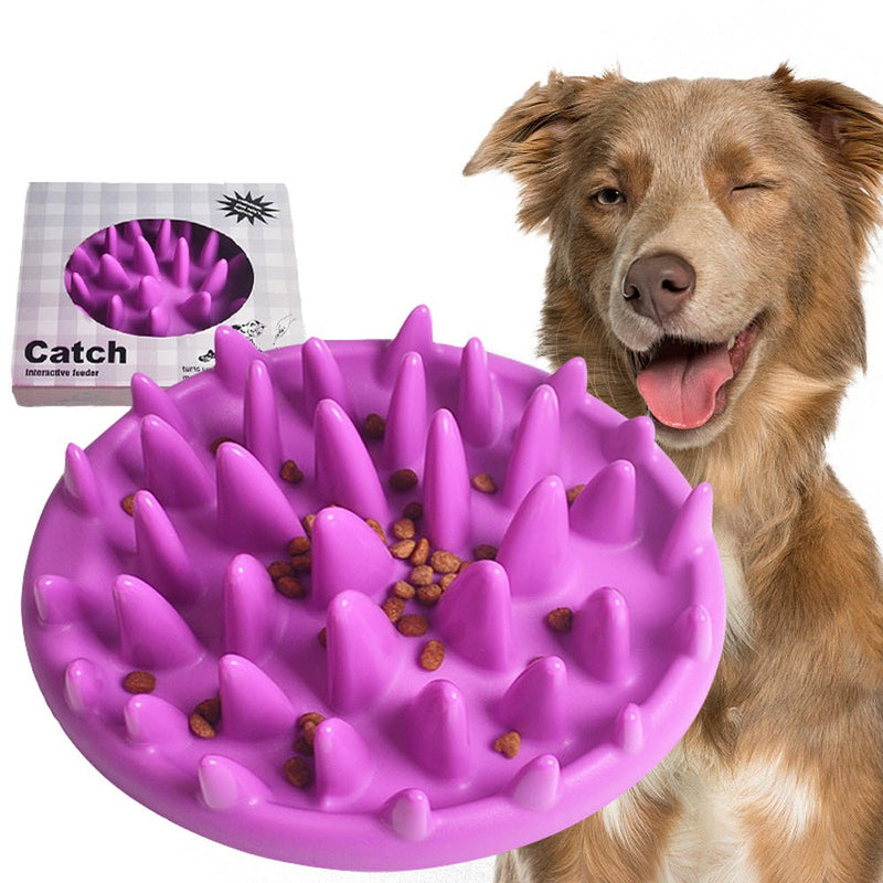 Comedouro Lento Interativo para Cães e Gatos CatchFood