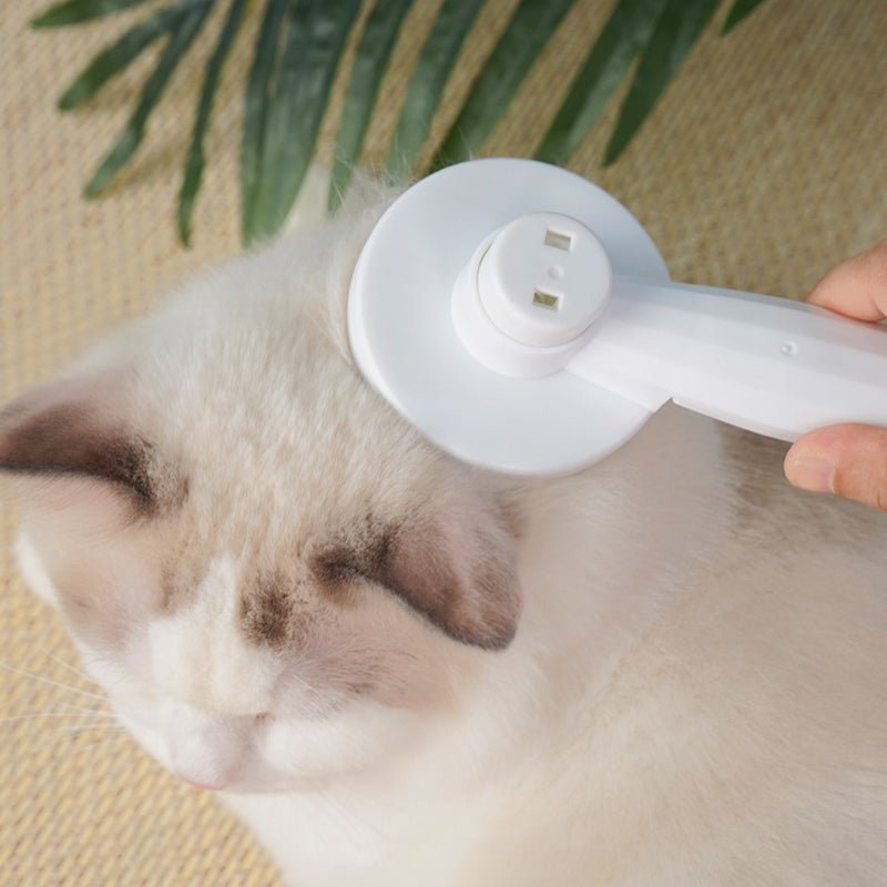 Escova SuperBrush Massageador e Removedora de Pelos para Cães e Gatos