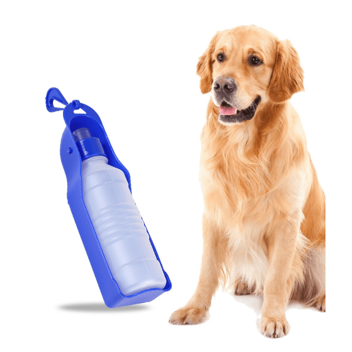 Garrafa Bebedouro para Cães e Gatos H2O Azul