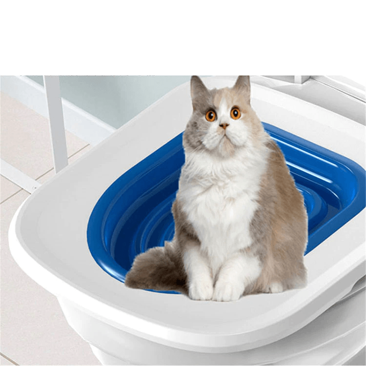 Kit de Treinamento com Assento Sanitário para Gatos